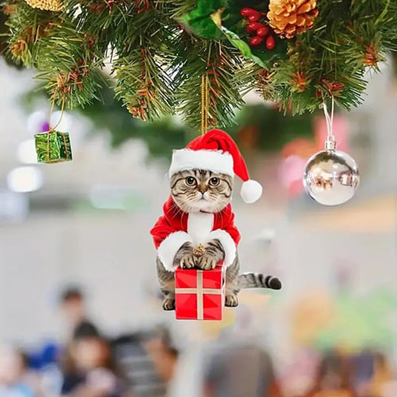 2024 Christmas Cat Advent Calendar