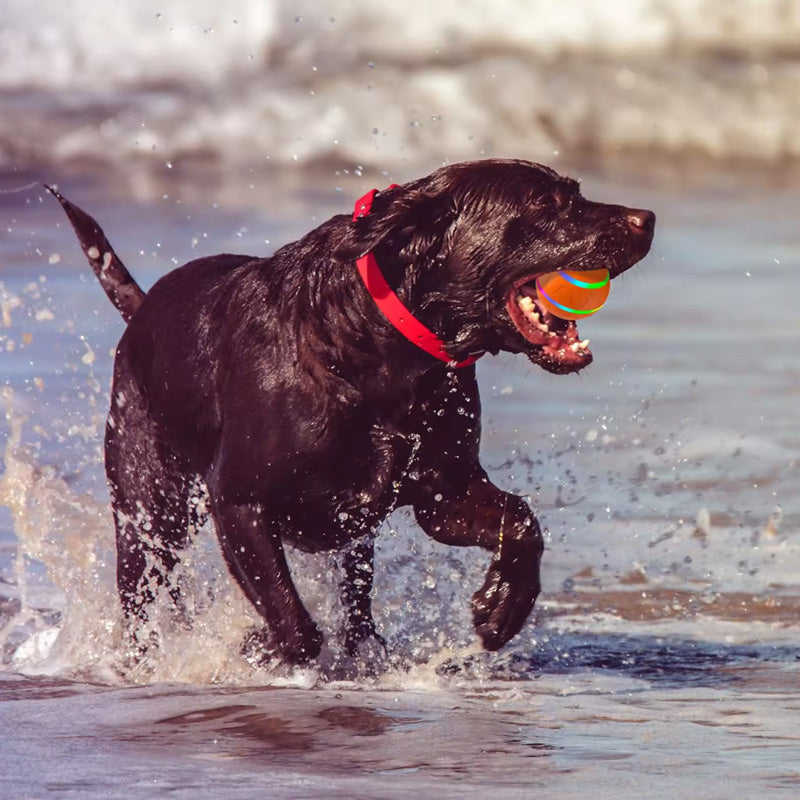 Chew-Resistant Smart Pet Ball